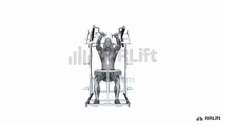 Single-Arm High Row start position