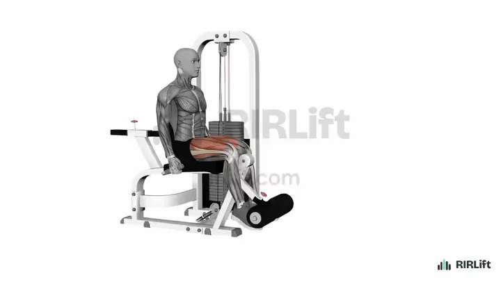 Single-Leg Leg Extension start position
