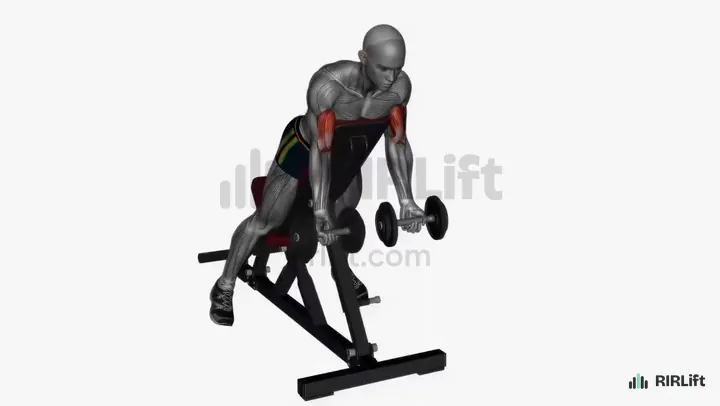 Spider Curl start position