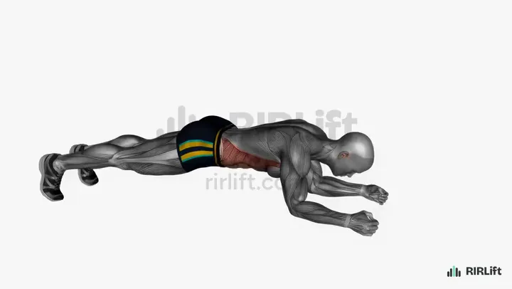 Spider Plank demonstration