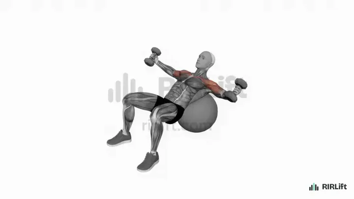 Stability Ball Incline Dumbbell Fly demonstration