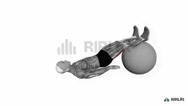Stability Ball Leg Curl start position