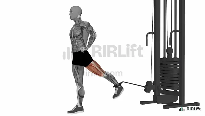Standing Cable Hip Flexion demonstration
