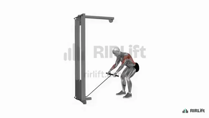 Standing Cable Row start position