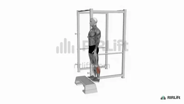 Standing Calf Raise demonstration