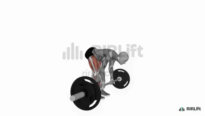 Stiff-Leg Deadlift start position