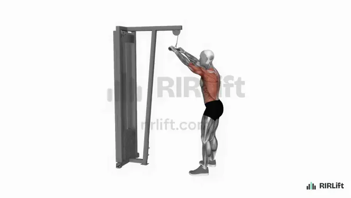 Straight-Arm Pulldown start position