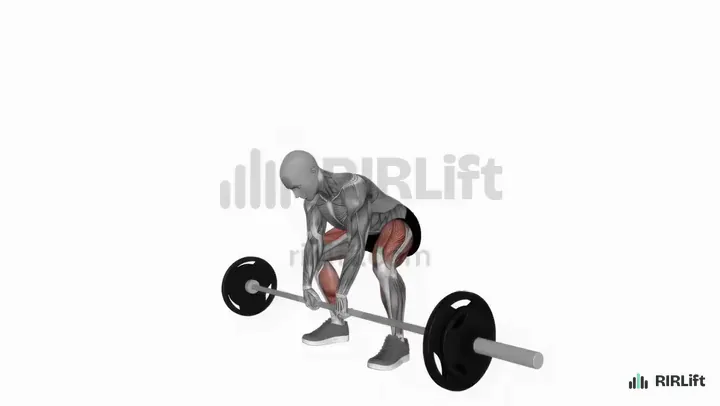 Sumo Deadlift demonstration