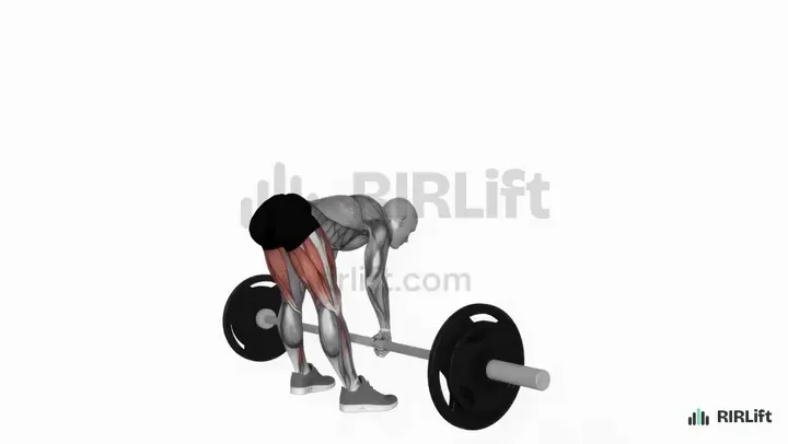 Sumo Romanian Deadlift start position