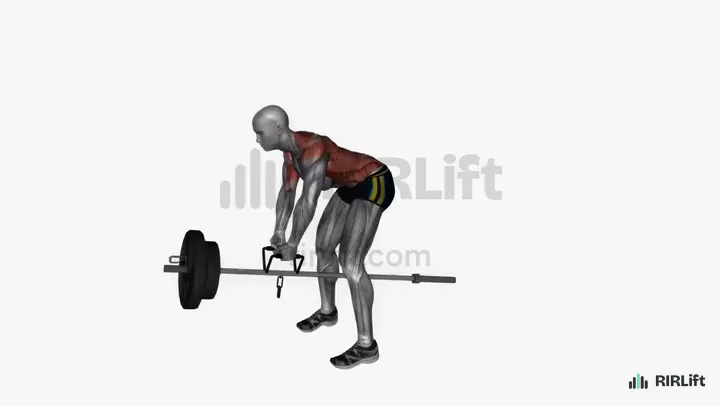 T-Bar Row start position