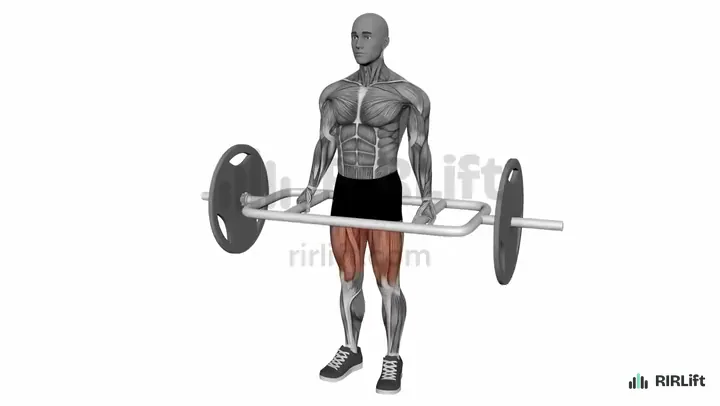 Trap Bar Deadlift start position