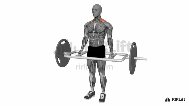 Trap Bar Shrug start position