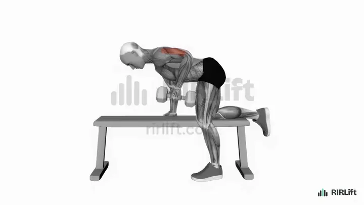 Triceps Kickback start position