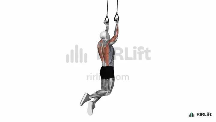 TRX Chin-Up start position