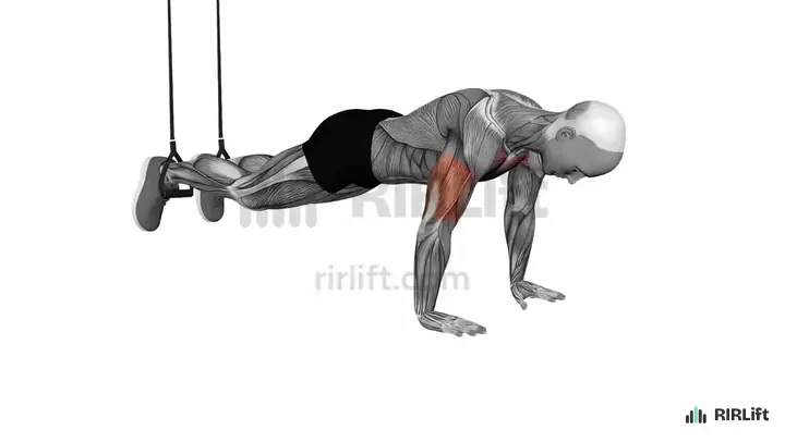 TRX Decline Push-Up start position