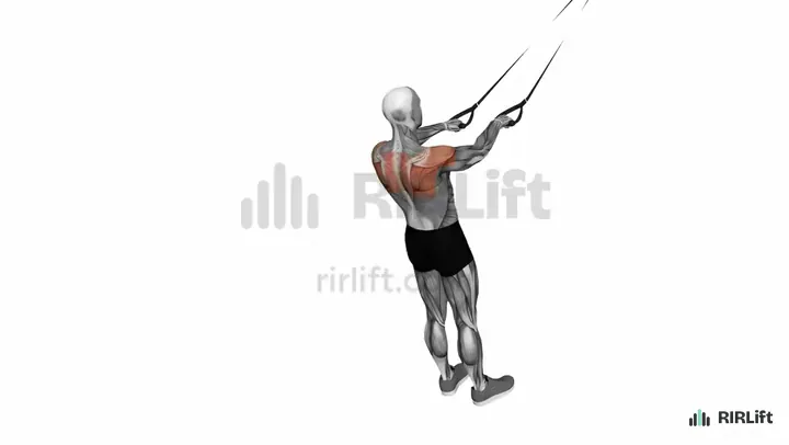 TRX Face Pull start position