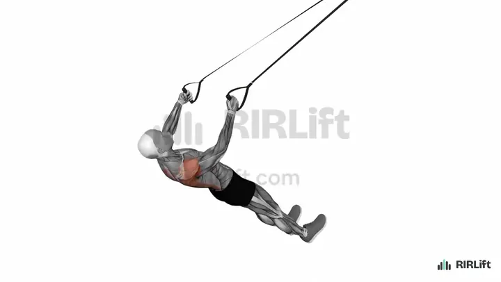 TRX Rear Delt Row start position