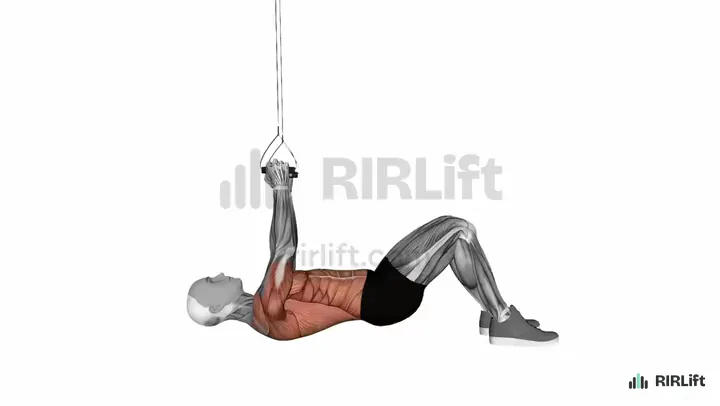 TRX Row start position