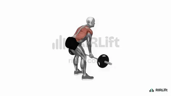 Underhand Barbell Row start position