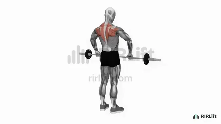 Upright Row demonstration
