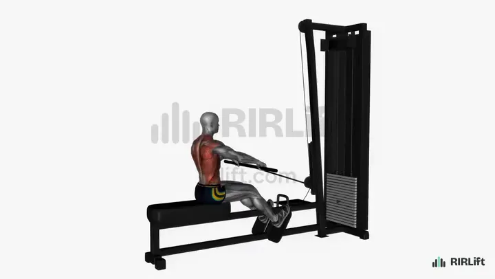 Wide-Grip Cable Row start position