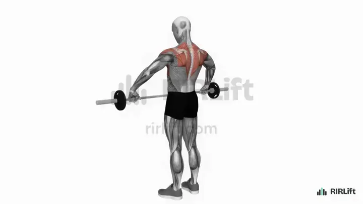 Wide-Grip Upright Row start position