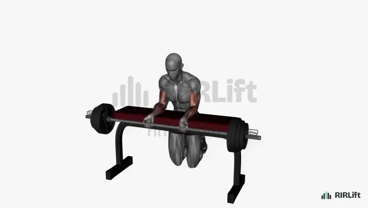 Wrist Curl start position