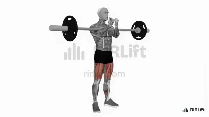 Zercher Squat start position